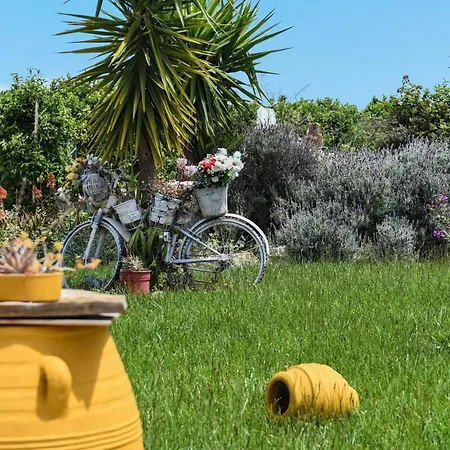 Holiday home Beachfront Samantha's Paradise