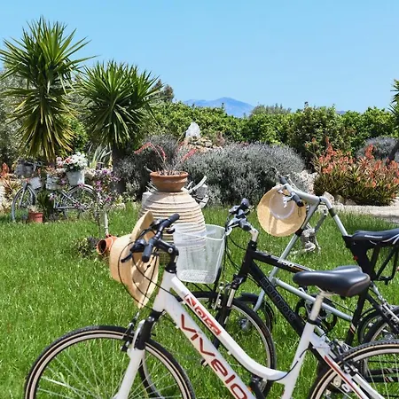 Beachfront Samantha's Paradise