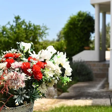 Beachfront Samantha's Paradise Holiday home