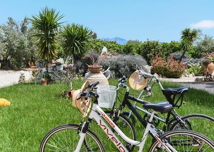 Beachfront Samantha's Paradise